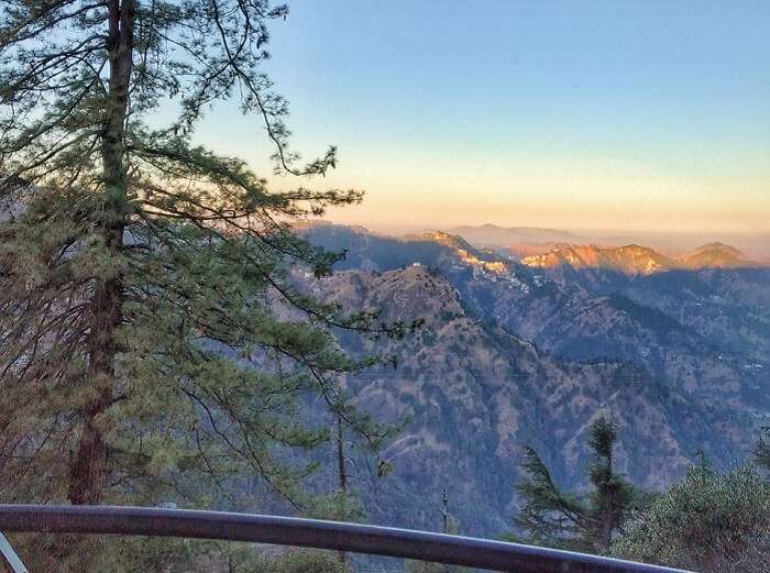 pine forests surrounded with mountains