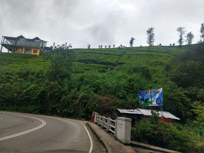 on the way to nuwara eliya