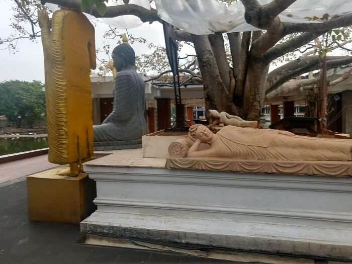 reclining buddha