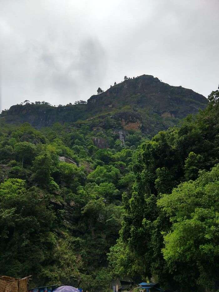 green sri lanka