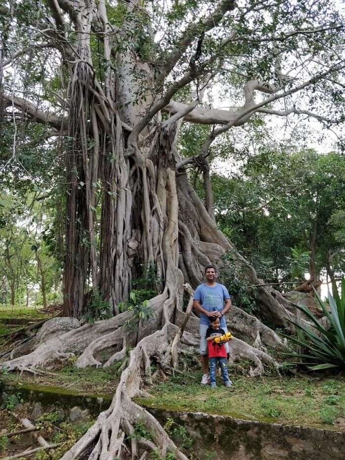 Yala National Park