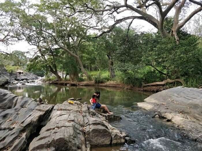 Spending time in the middle of the jungle