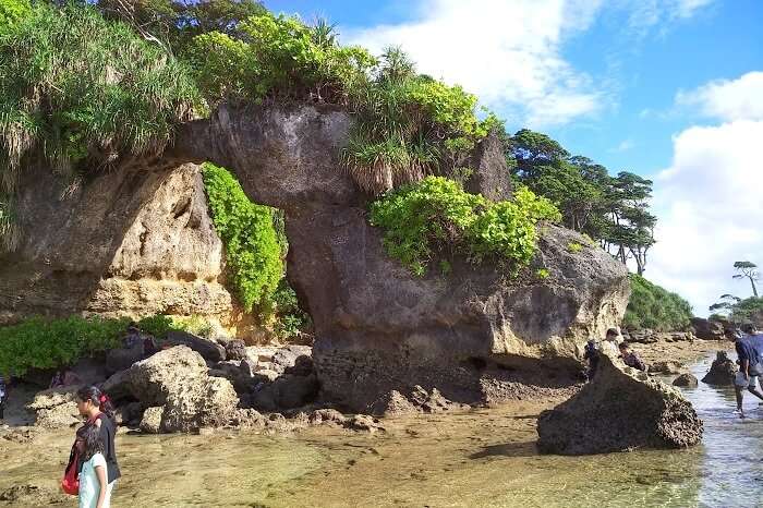 exploring the beaches