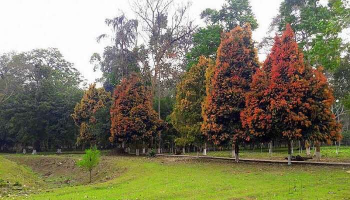 Jokai Botanical Garden