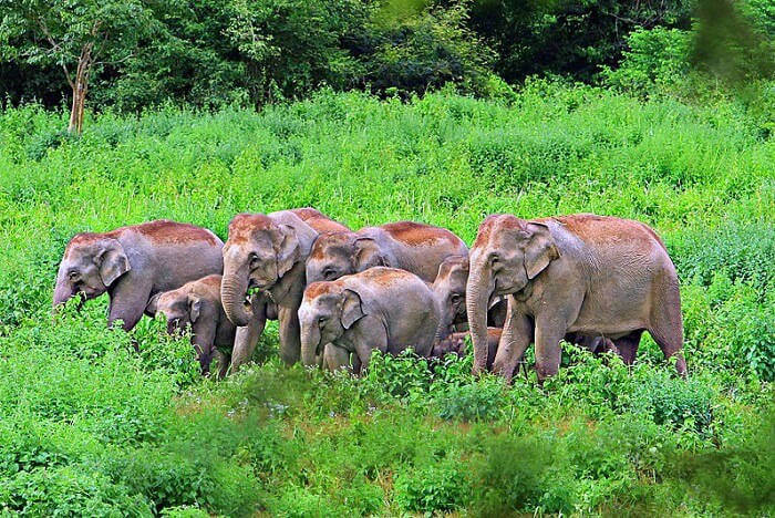 kuai-buri-national-park_19th-october