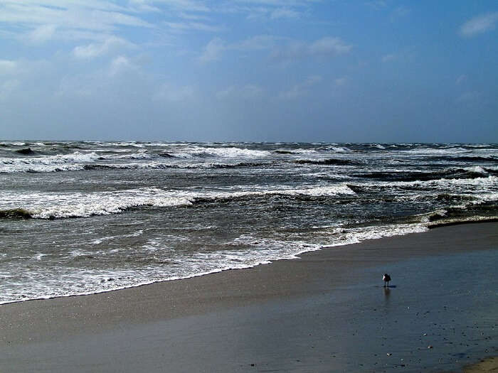 ocracoke beach