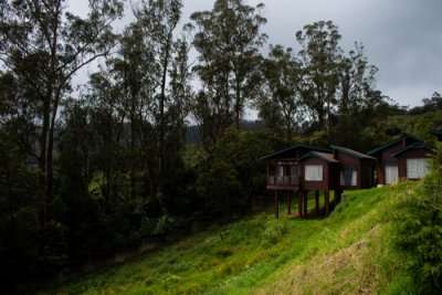 Ooty Honeymoon