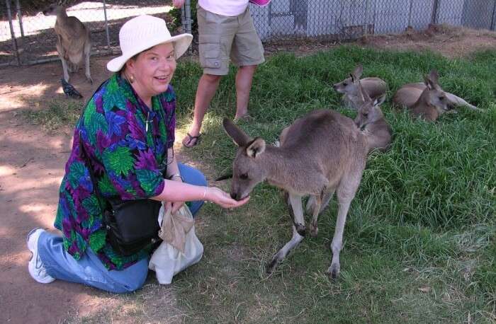 Take time to see the Queensland kangaroos