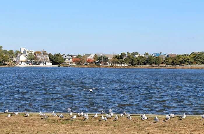 Rehoboth Beach, Delaware