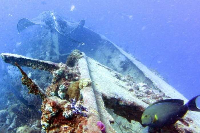 SS Yongala Wreck