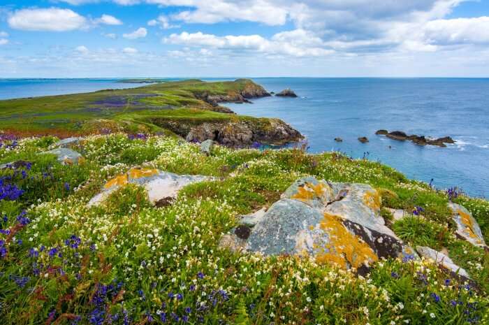 Saltee islands