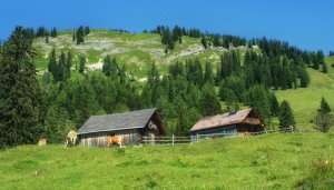 Styria
