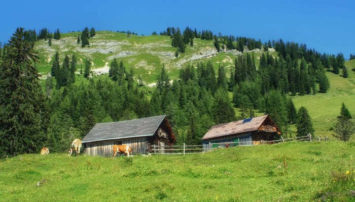 Styria is one of the popular places to visit in Austria