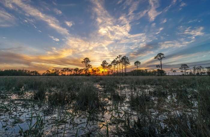 Swamp Heritage Festival