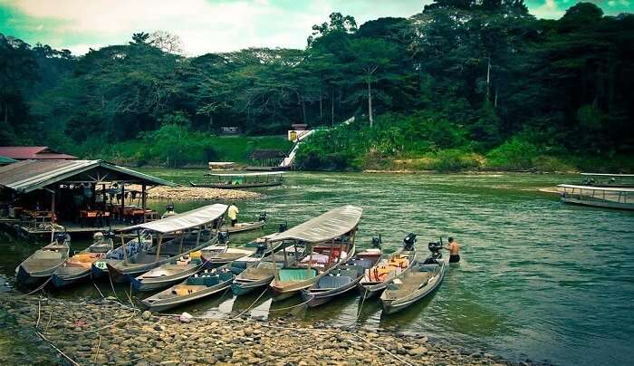 boats on the shore