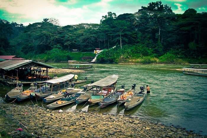 boats on the shore