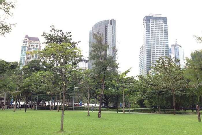 The Ayala Triangle Gardens