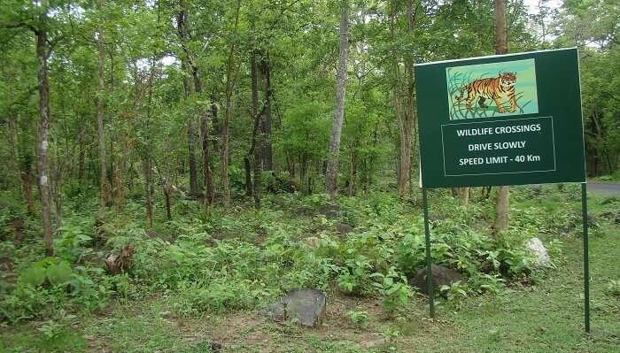 Tikarpada Tiger Reserve