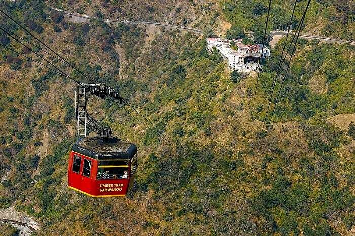 Timber Trail Resort in Kasauli