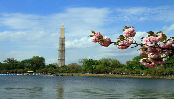 USA-Tidal Basin