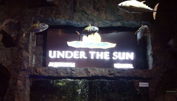 Under The Sun Aquarium