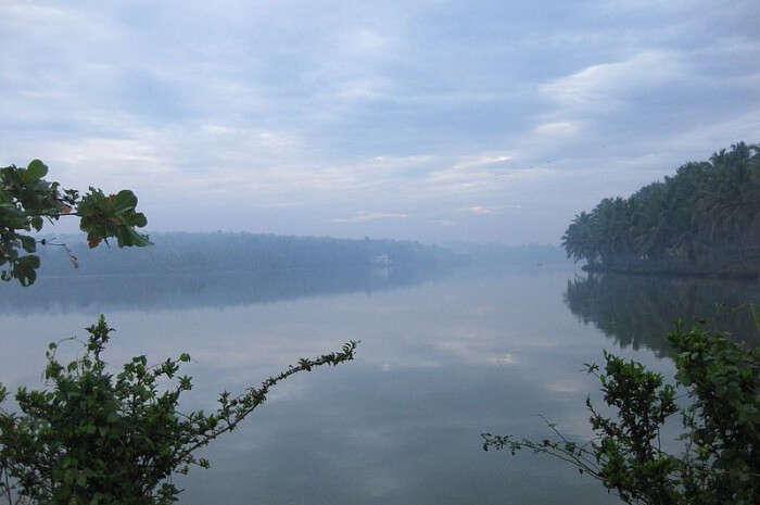  Vellayani Lake 