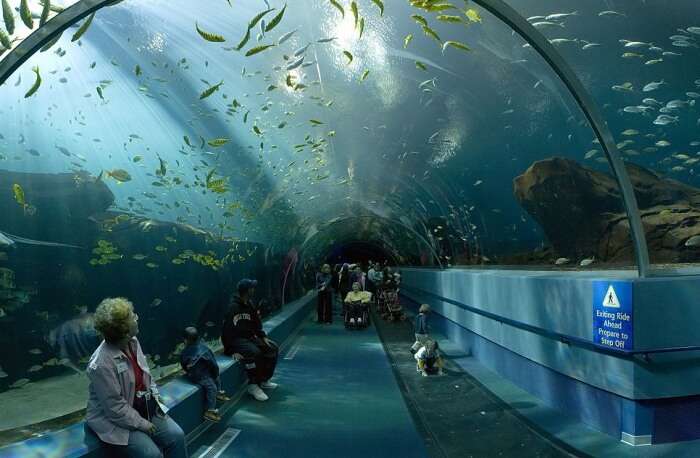 Visit The National Aquarium In North Queensferry