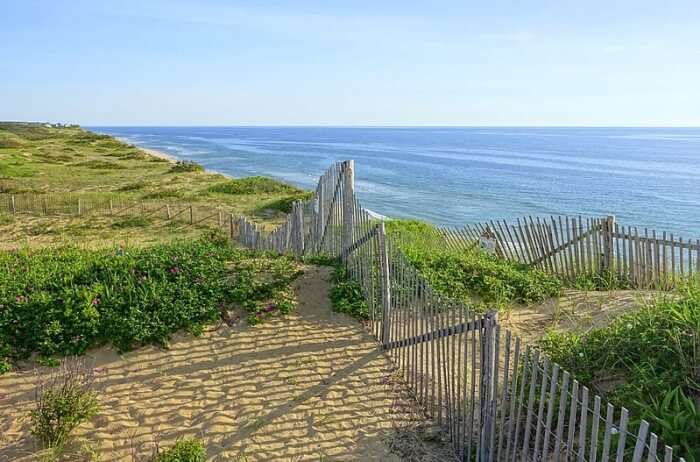 Wellfleet