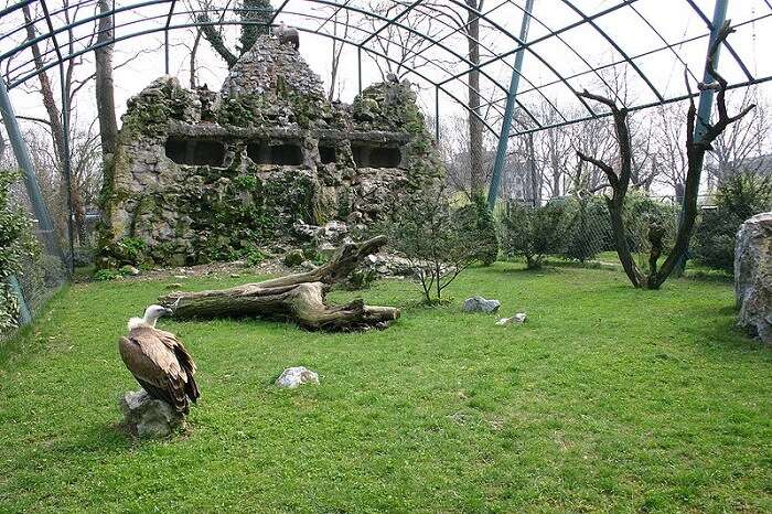 view of the inside of the zoo