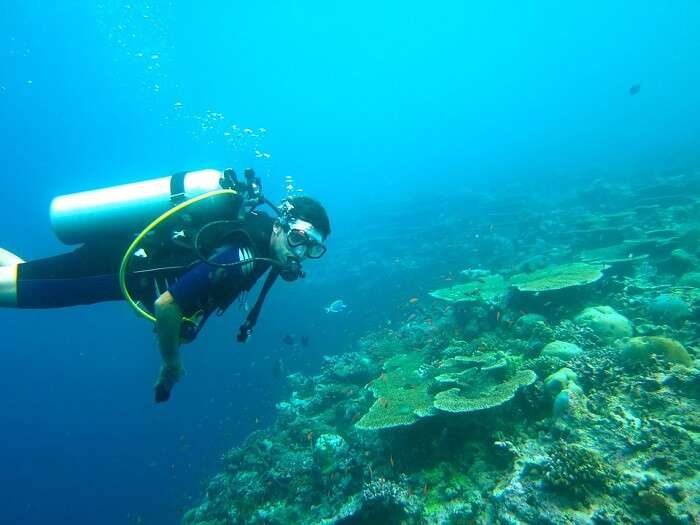 diver in maldives water