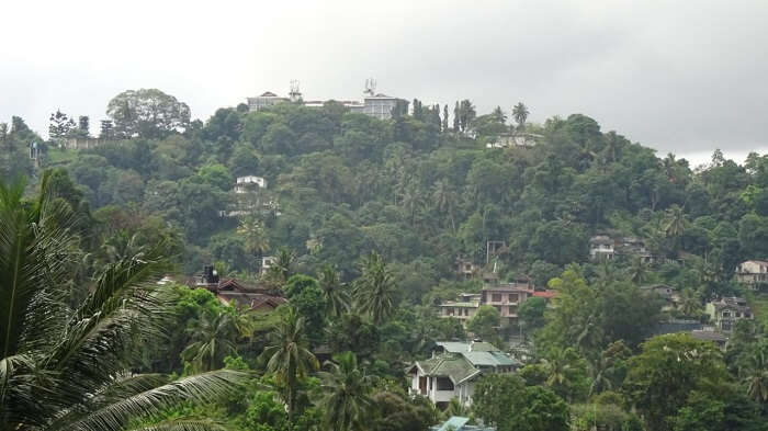 green nuwara eliya