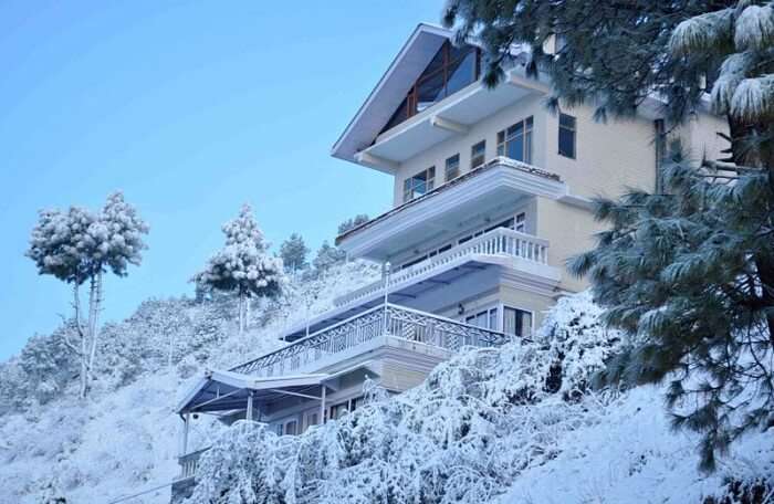 shimla honeymoon trip