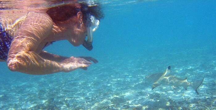 snorkeler in maldives