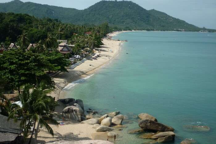 Bird's eye view of a beach