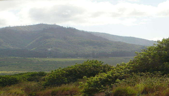 Places To Visit In Lanai