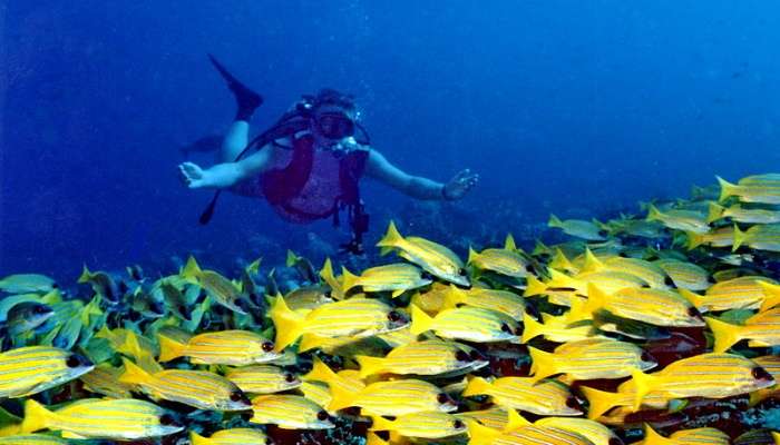 Snorkeling In Maldives An Ultimate Guide For A Fun 2023 Vacay