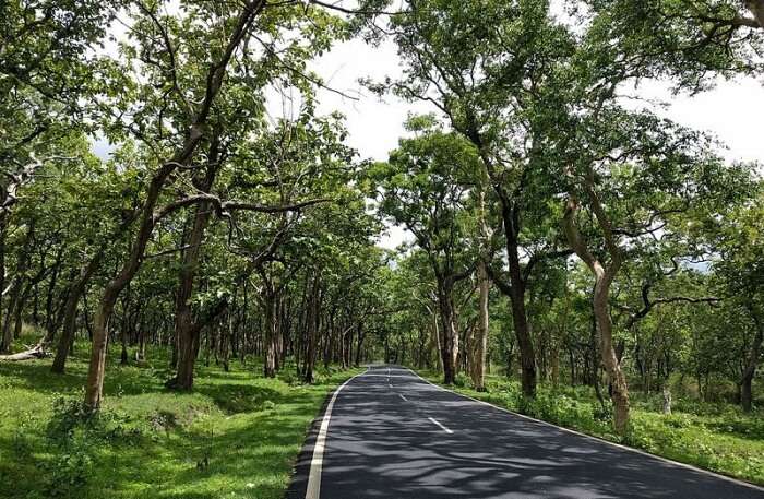 Bandipur In Nepal