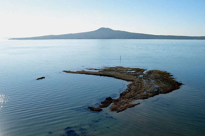 Best time to visit Rangitoto Island