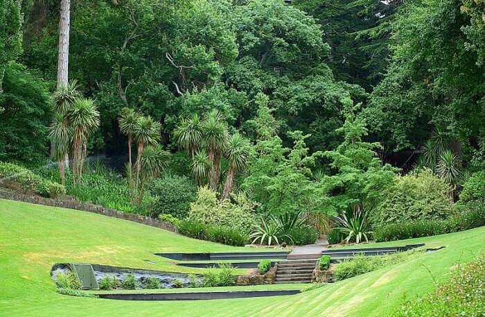 Botanical Gardens View