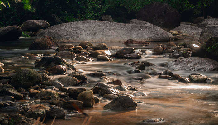 Burmese Pool