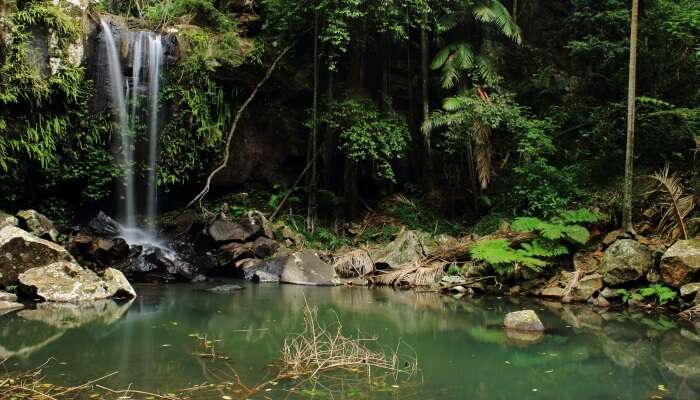 Chase Waterfalls