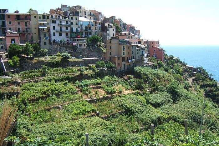 Corniglia