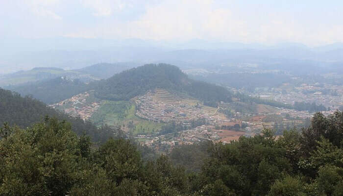 Doddabetta Peak, surrounded by lush green forest in the Nilgiri mountains