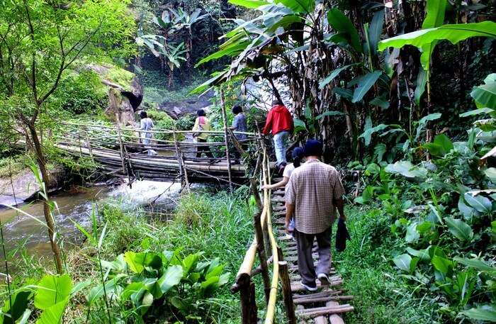 Eco Paradise Bambu Indah