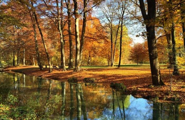Bavaria Autumn Munich Park English Garden Eisbach
