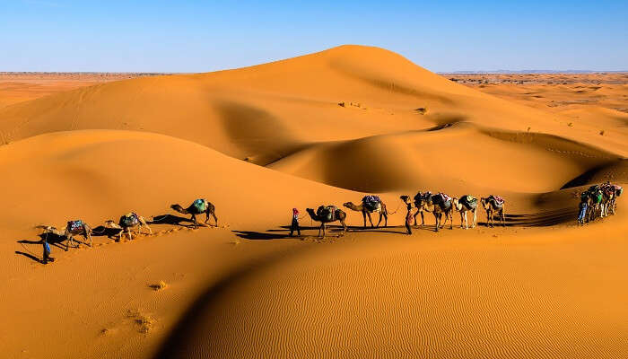 Caravan in the desert