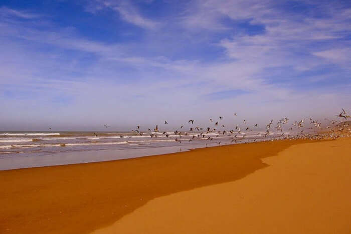 Essaouira Beach