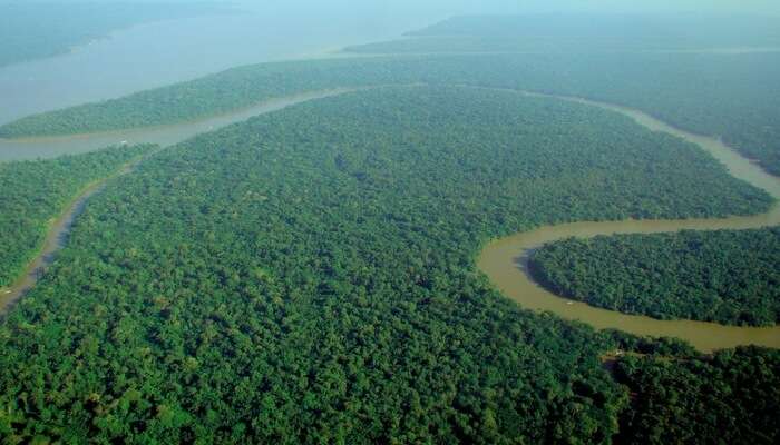 Explore the wild and exotic Amazon rainforests