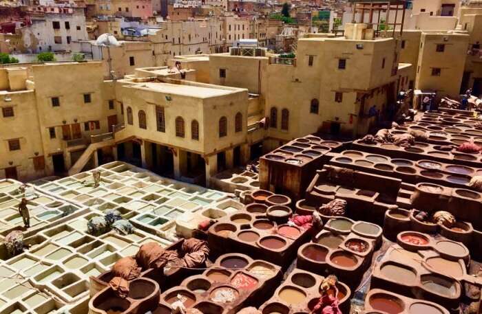 Fez Tanneries