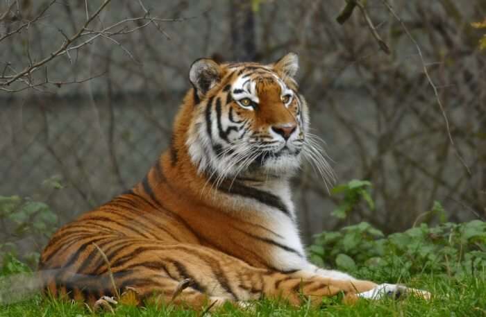 Munich Hellabrunn Zoo